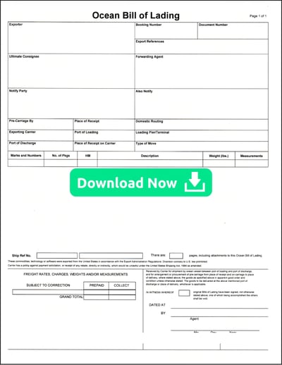 Ocean Bill of Lading (1)